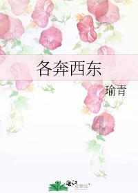 迷你汽车记忆卡